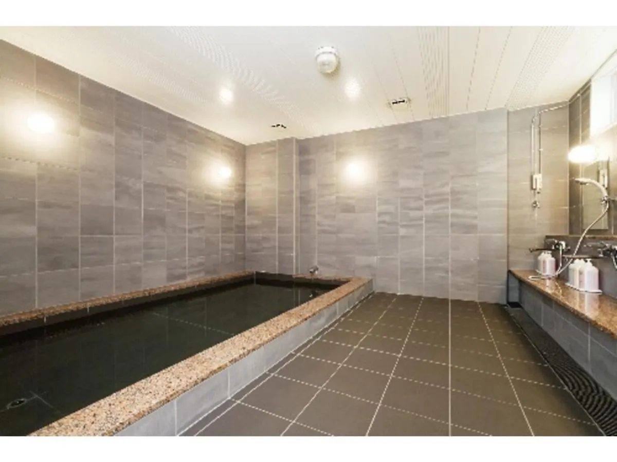Tiara Hotel Sapporo Susukino - Vacation Stay 13082V 0*,  Japonya